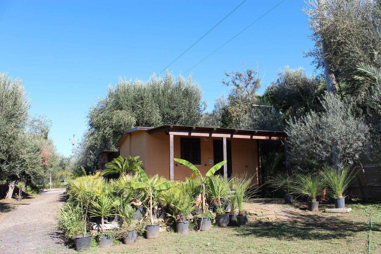 Residence Serrone Santa Maria di Castellabate Exterior foto